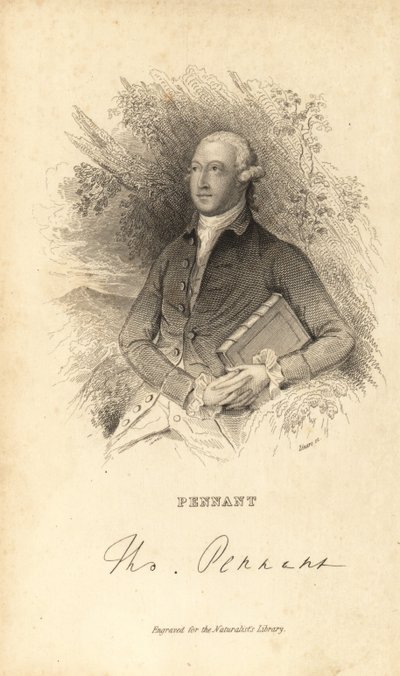 Thomas Pennant, Welsh naturalist, writer and antiquarian, 1726-1798 by Unknown